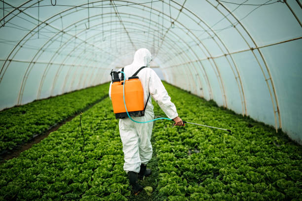 Best Mosquito Control Services  in Northwood, OH