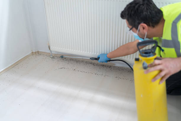 Best Best Pest Control Companies  in Northwood, OH
